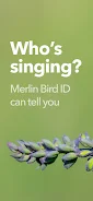 Cornell LabによるMerlin Bird ID スクリーンショット 3