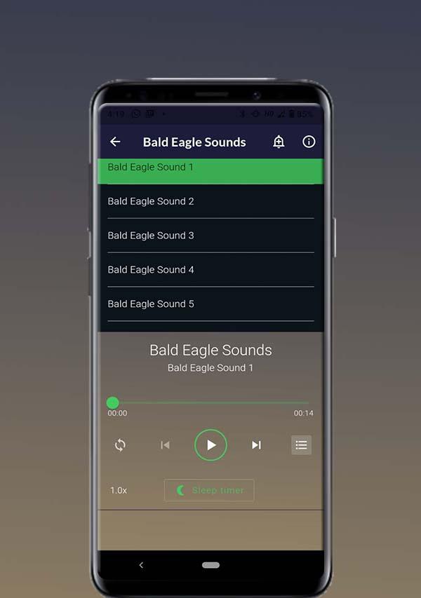 Bald Eagle Sounds Screenshot 0