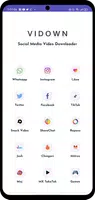 Video downloader - Vidown ภาพหน้าจอ 0